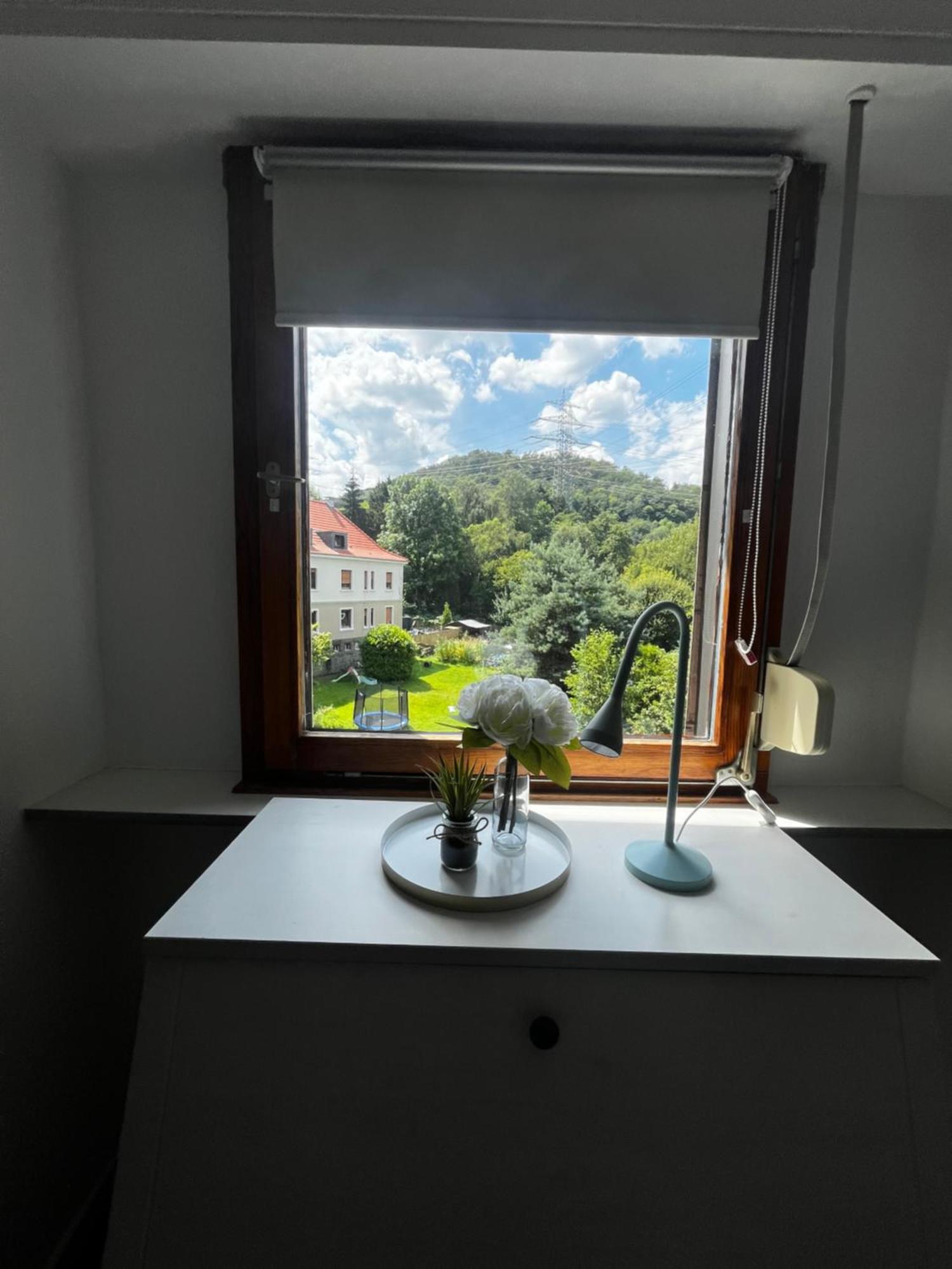 Idyllisch Wohnen An Der Ruhr Apartman Hattingen Kültér fotó